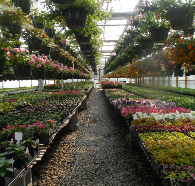 Pure Damage for a Duration. This Ability is the Only Interruptible