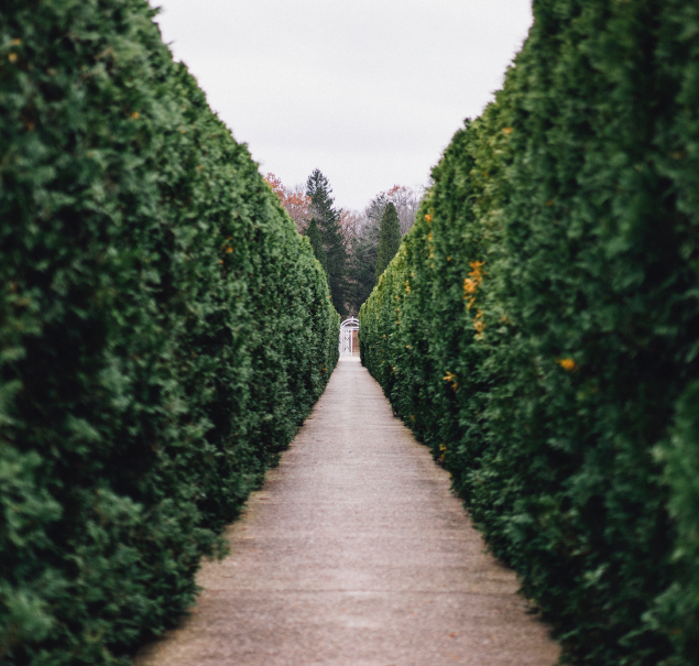 But He is Able to Grab the Front-most Hero, Truely Paralyzing