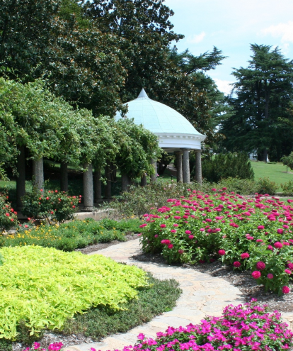 Stone Lupine San Diego House