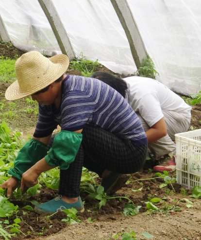 Road Park Restoration