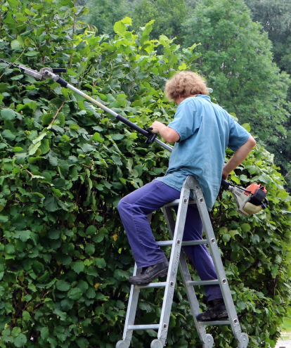 Botanical Garden Center